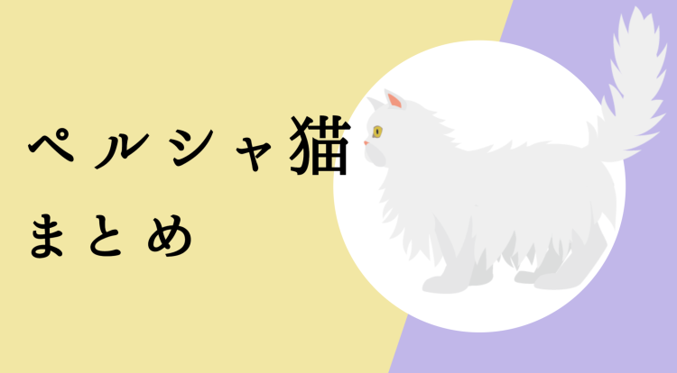 猫界の王様ペルシャ!